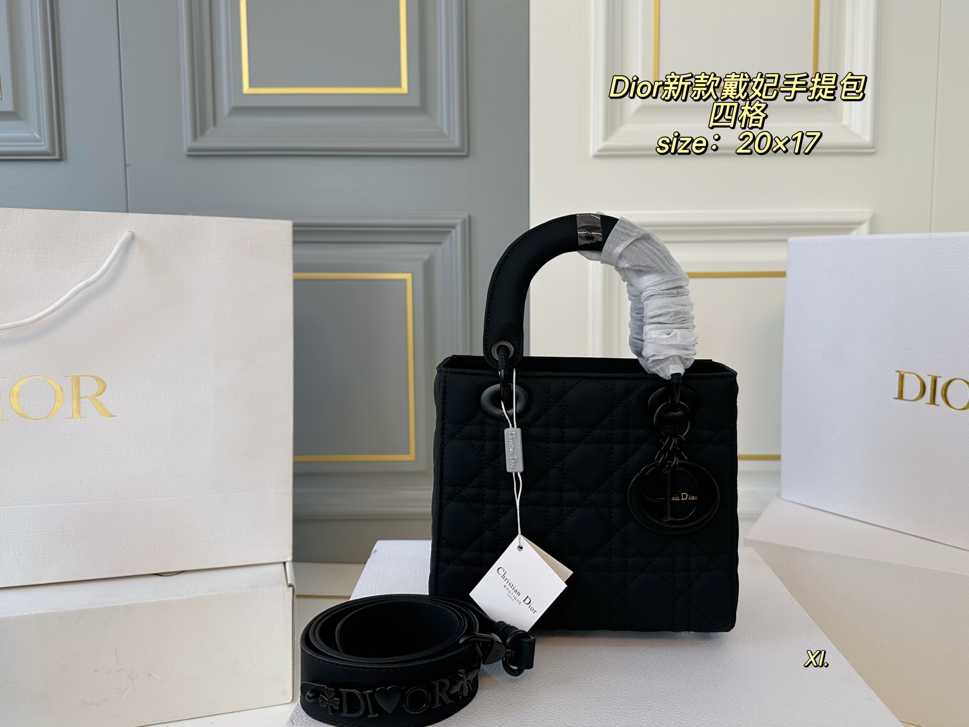 DIOR bag 76
